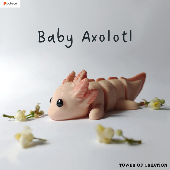 Baby Axolotl