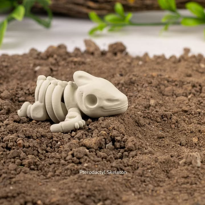 Baby Pterodactyl Skeleton