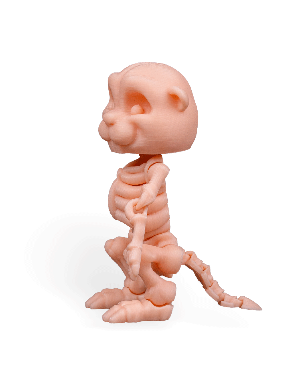 Skeleton Beaver