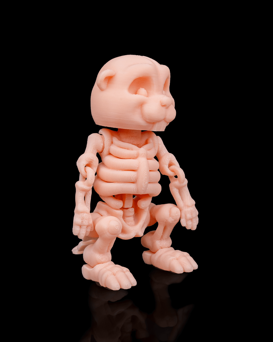 Skeleton Beaver