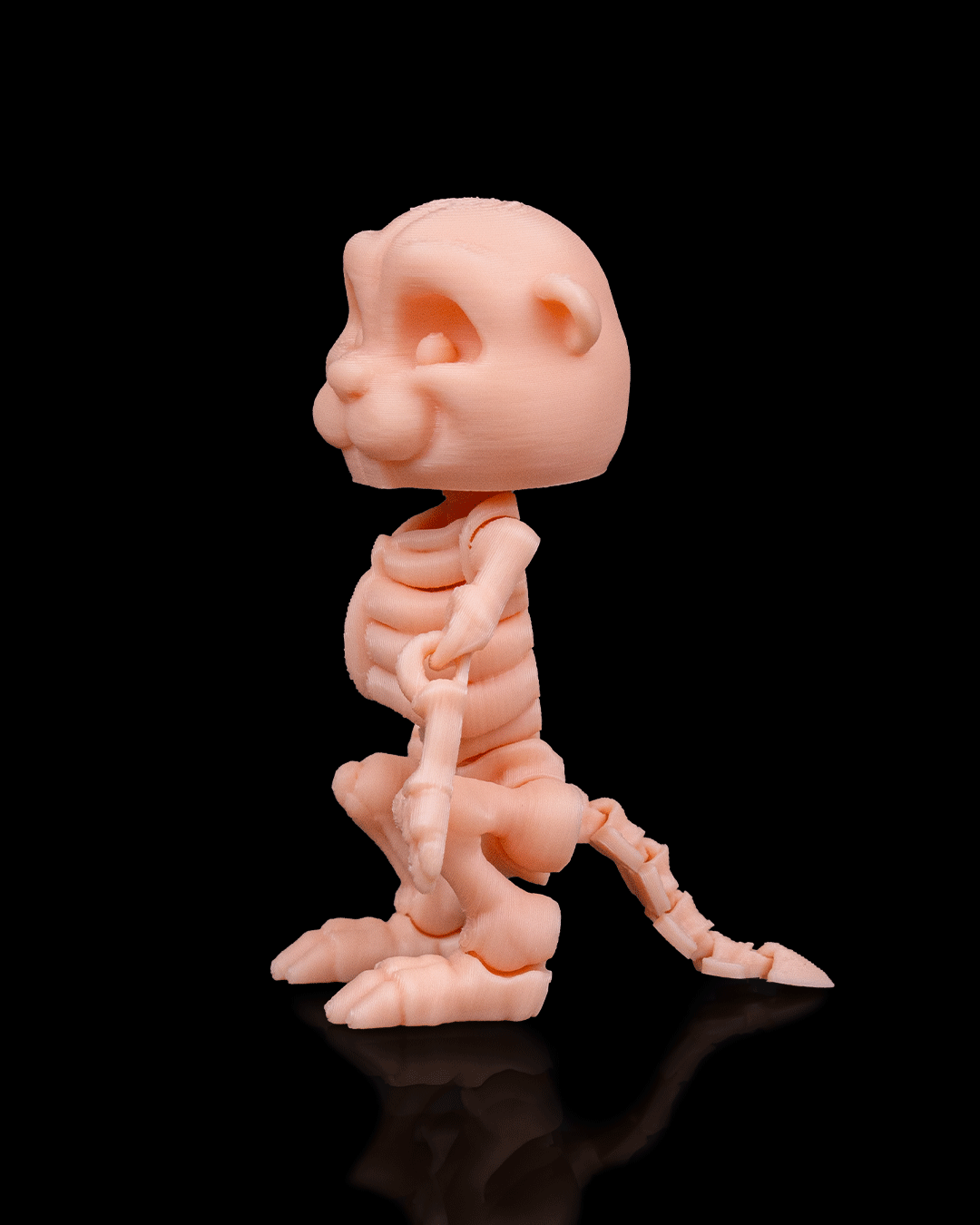 Skeleton Beaver