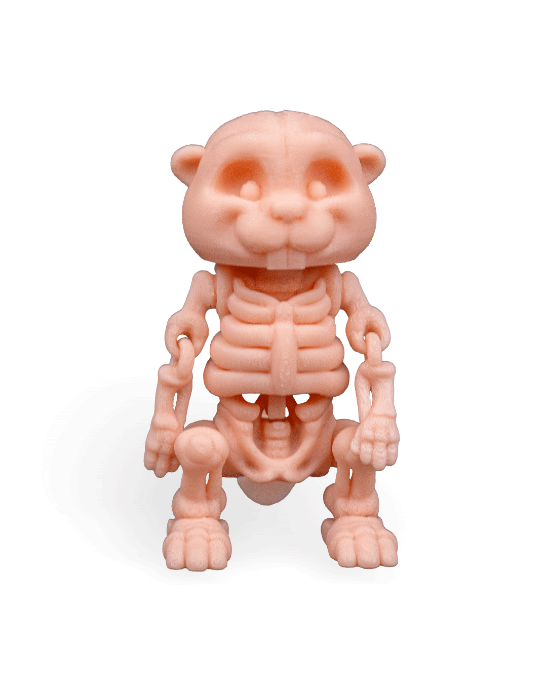 Skeleton Beaver