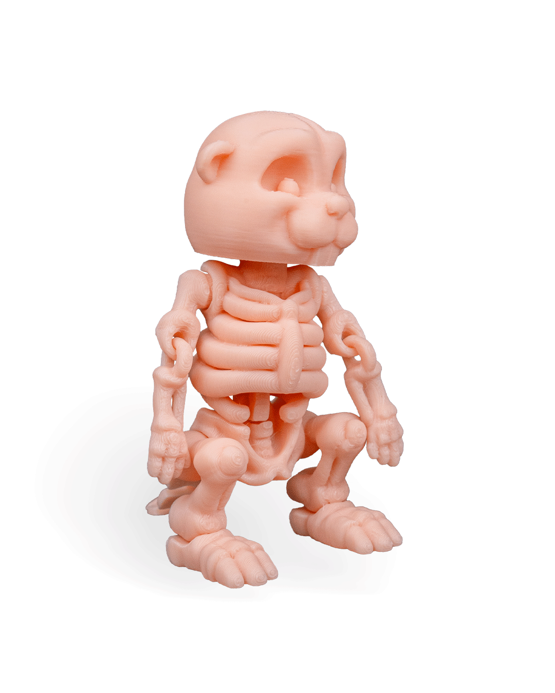 Skeleton Beaver