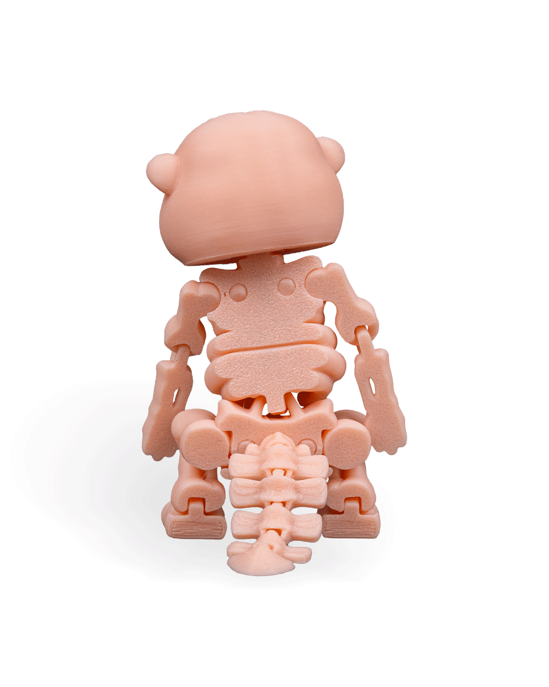 Skeleton Beaver