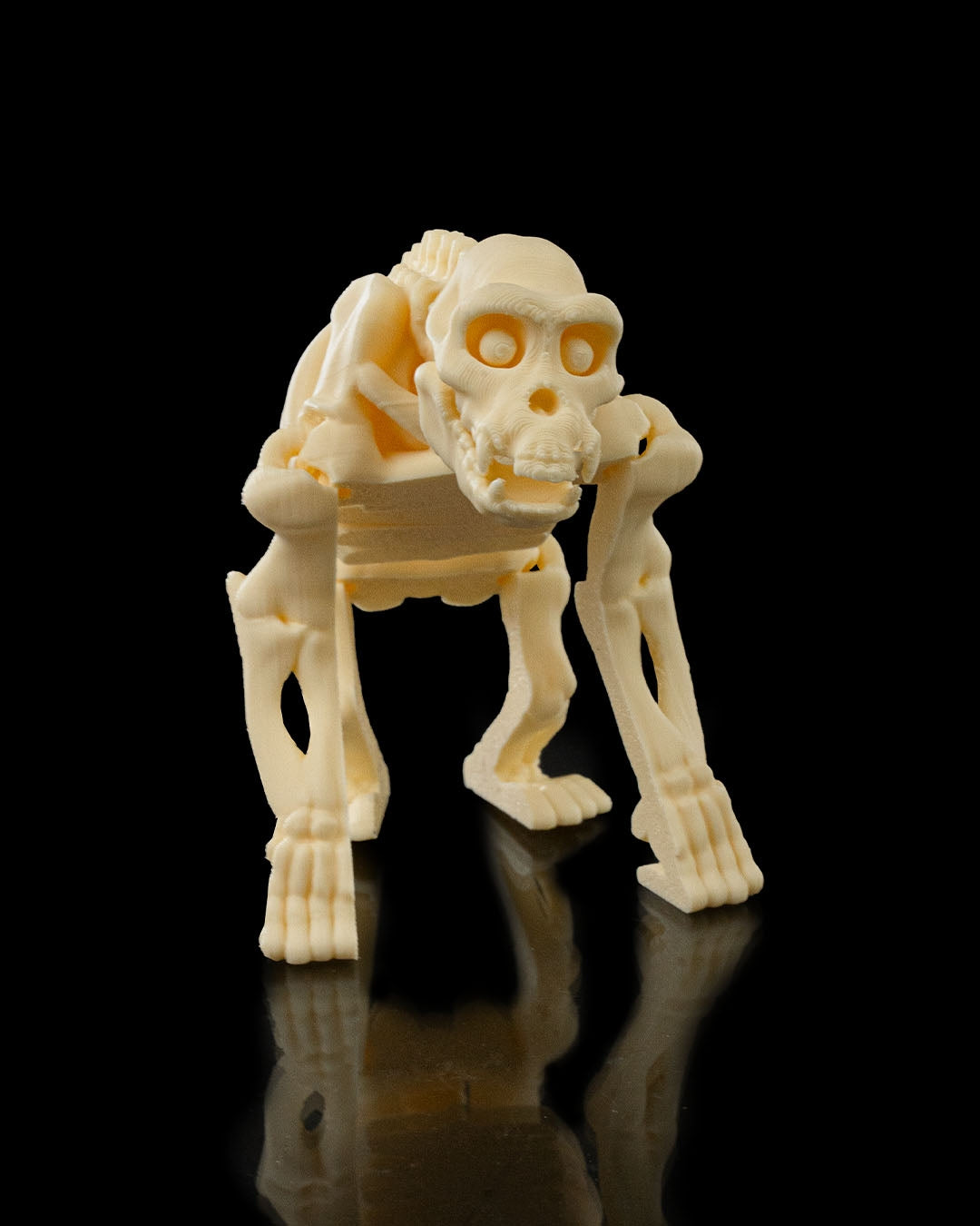 Skeleton Chimp