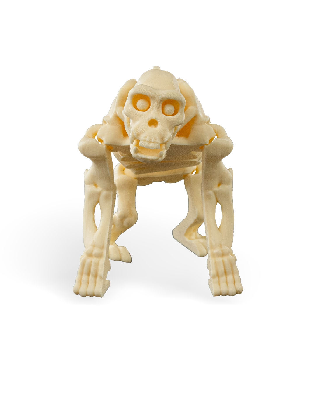 Skeleton Chimp