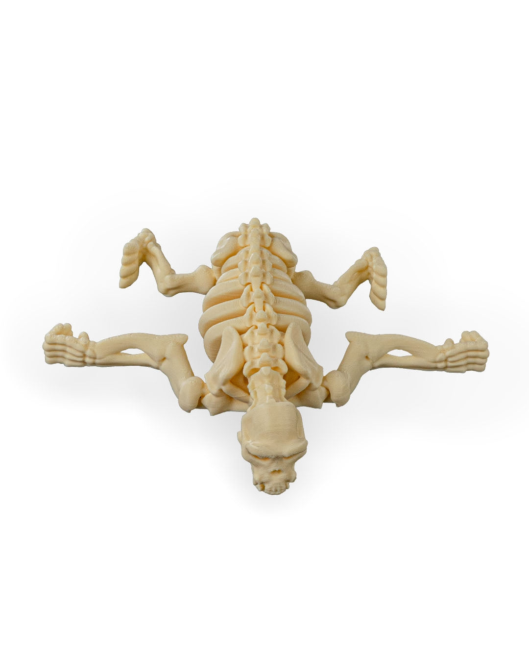 Skeleton Chimp