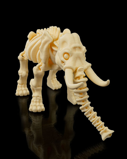 Skeleton Elephant