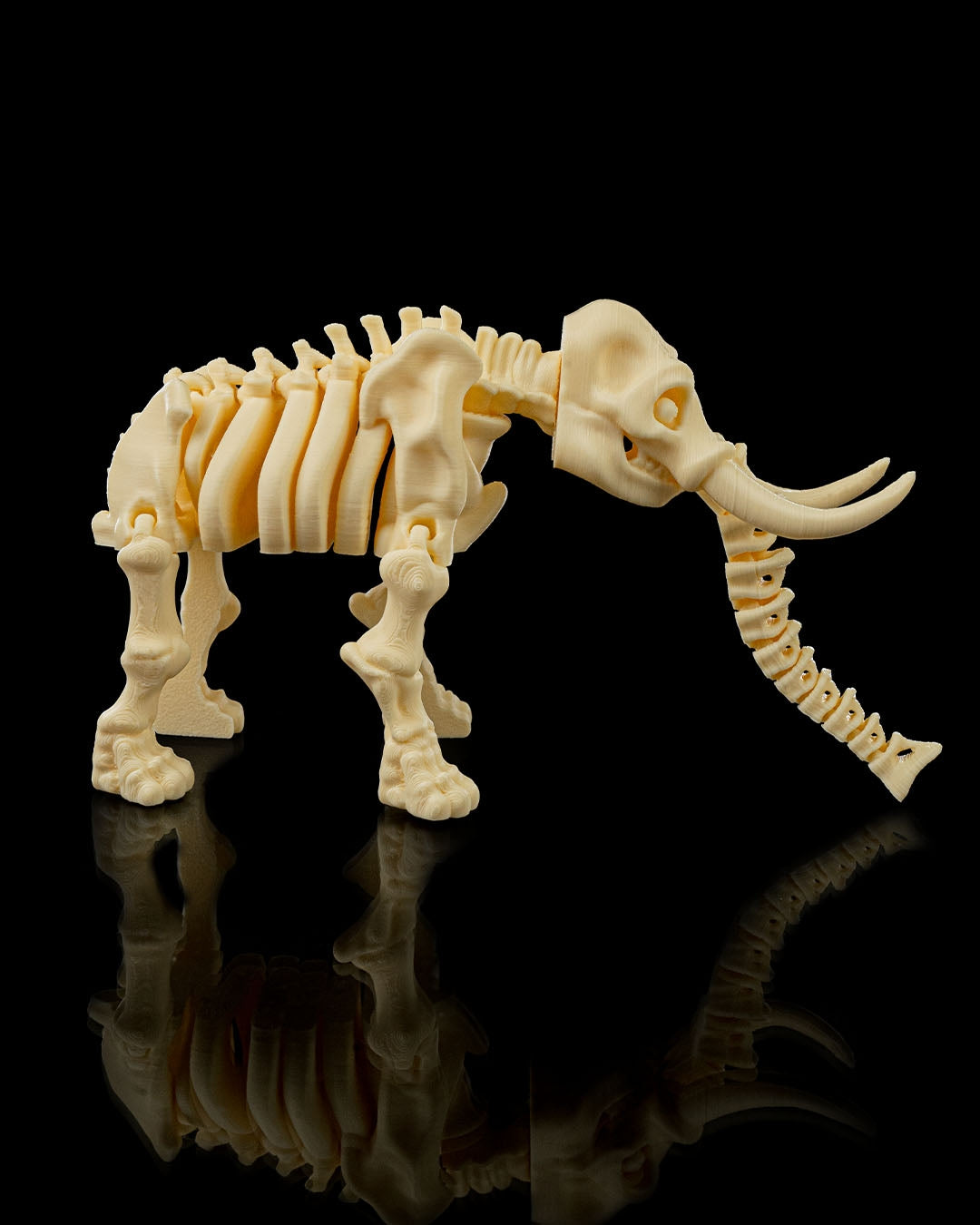 Skeleton Elephant