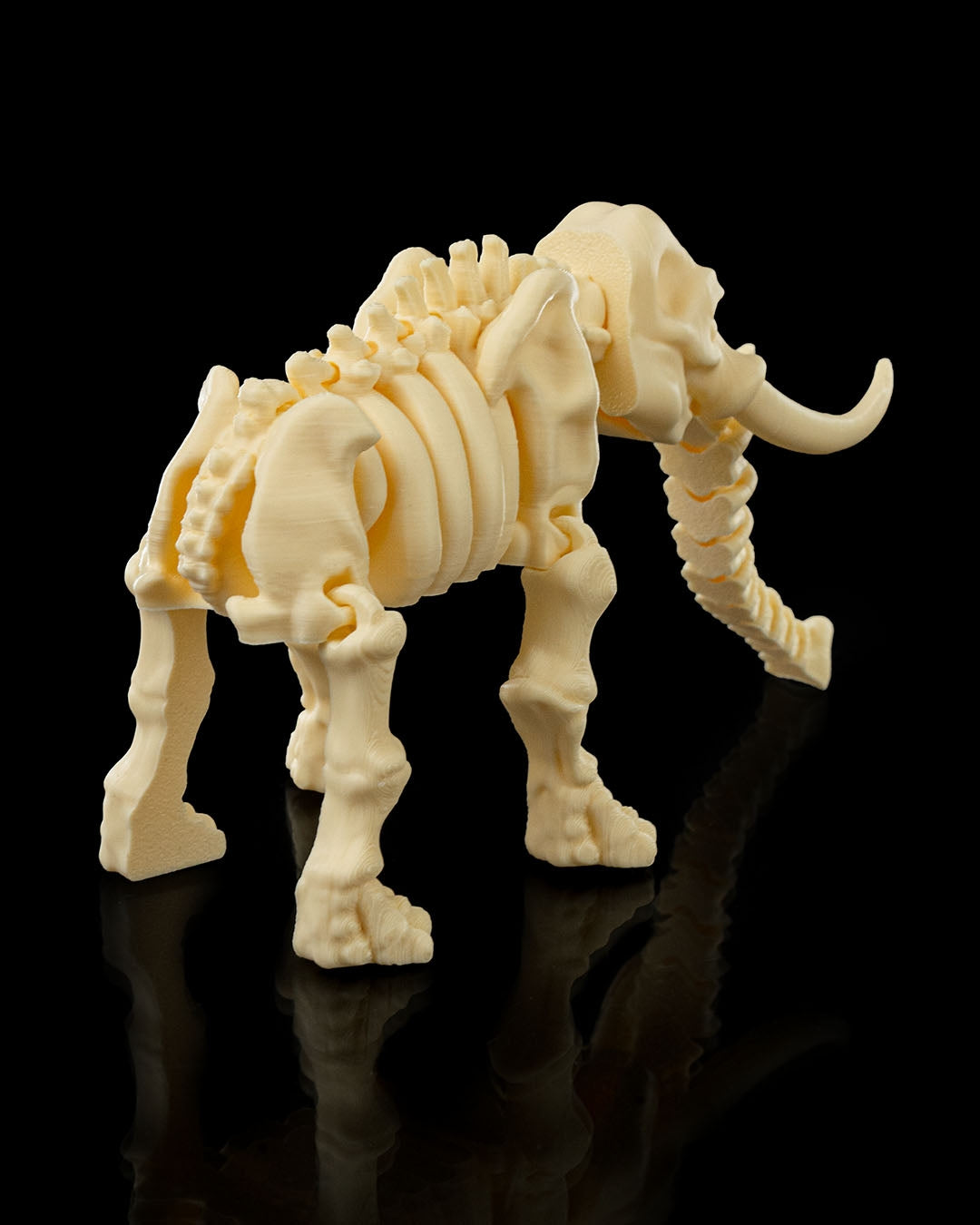 Skeleton Elephant