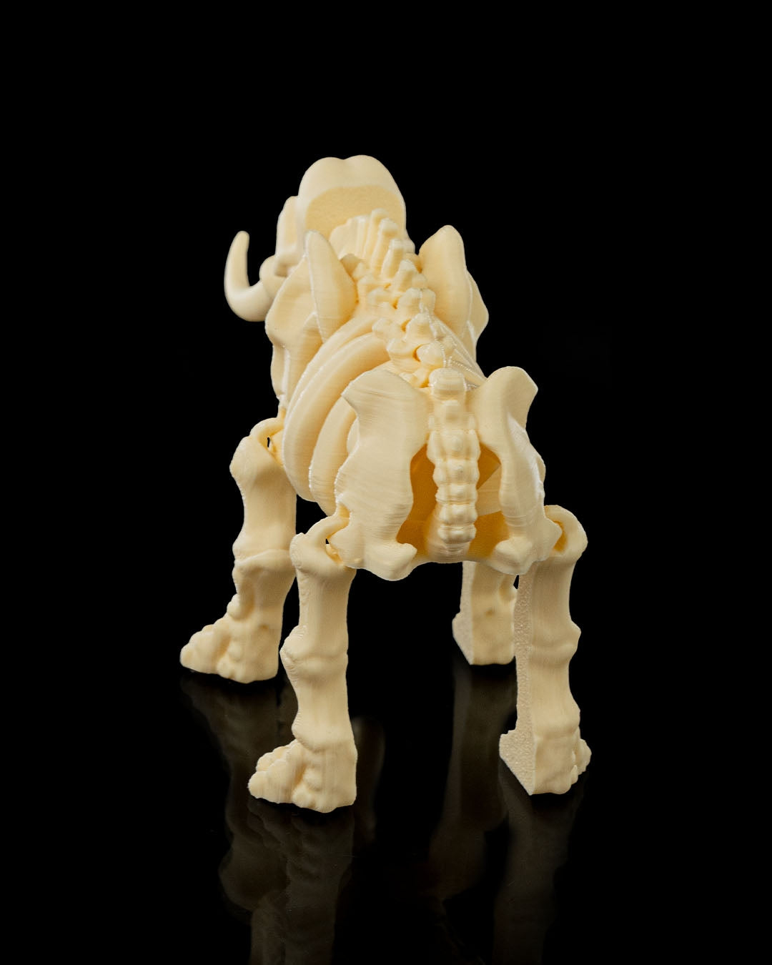 Skeleton Elephant