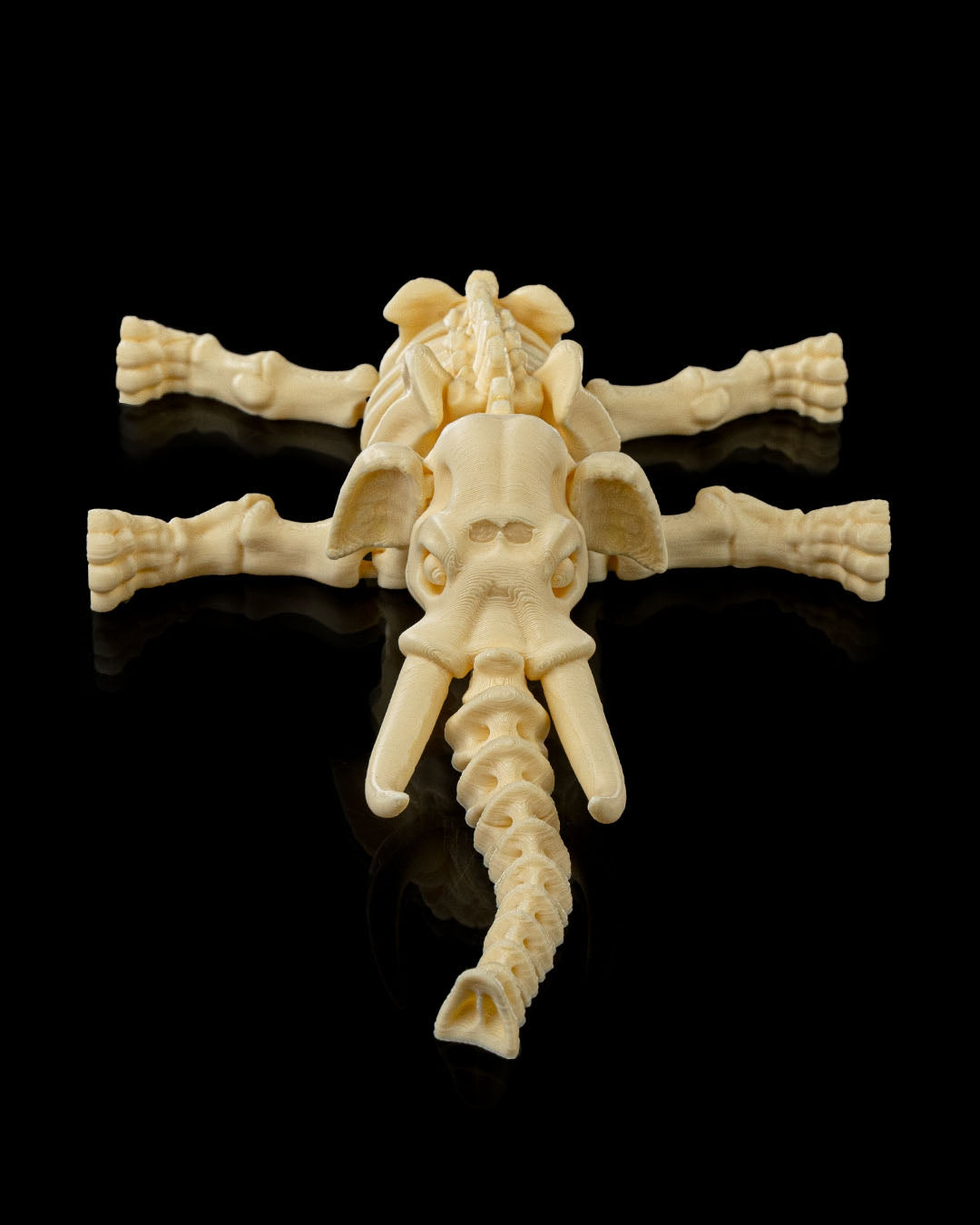 Skeleton Elephant