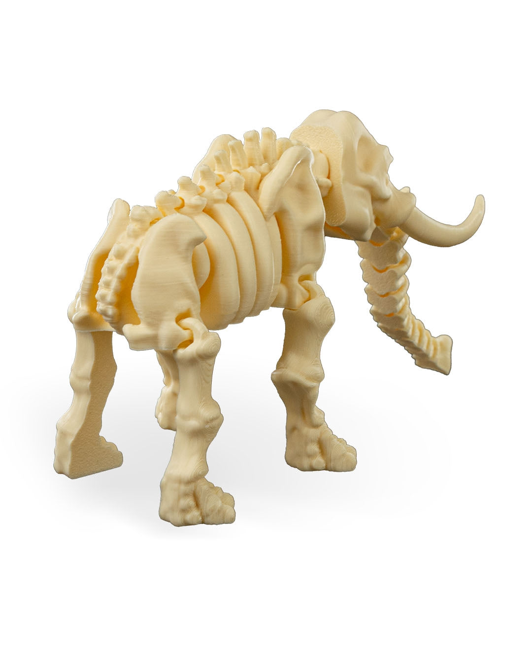 Skeleton Elephant