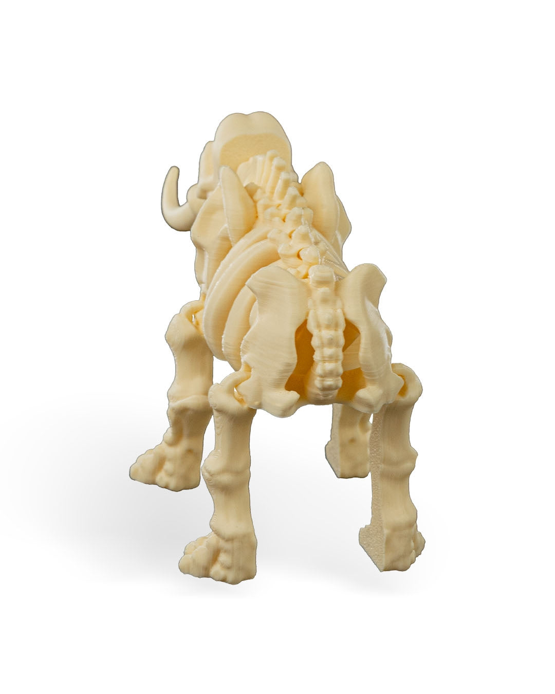 Skeleton Elephant