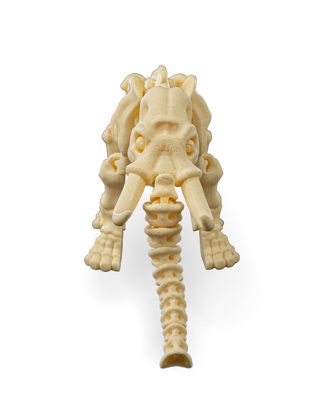 Skeleton Elephant