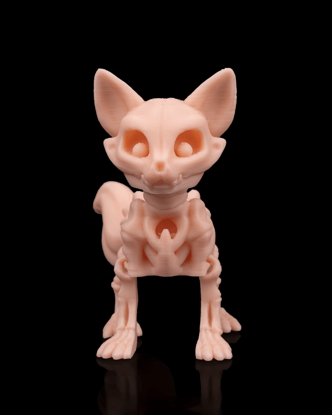 Skeleton Fox