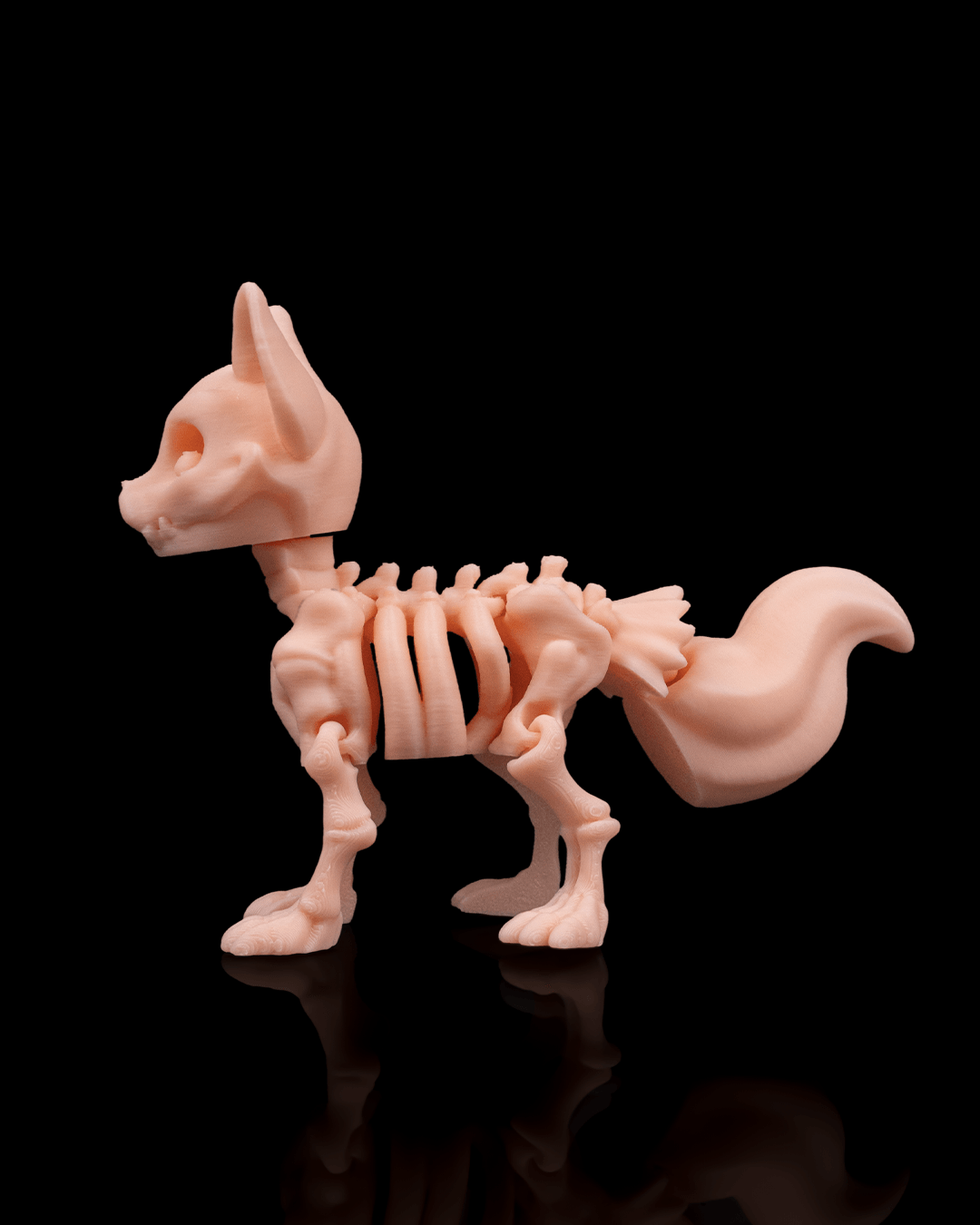 Skeleton Fox