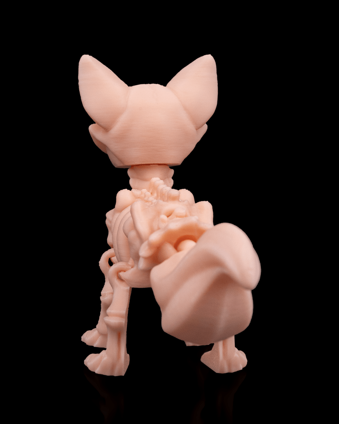 Skeleton Fox
