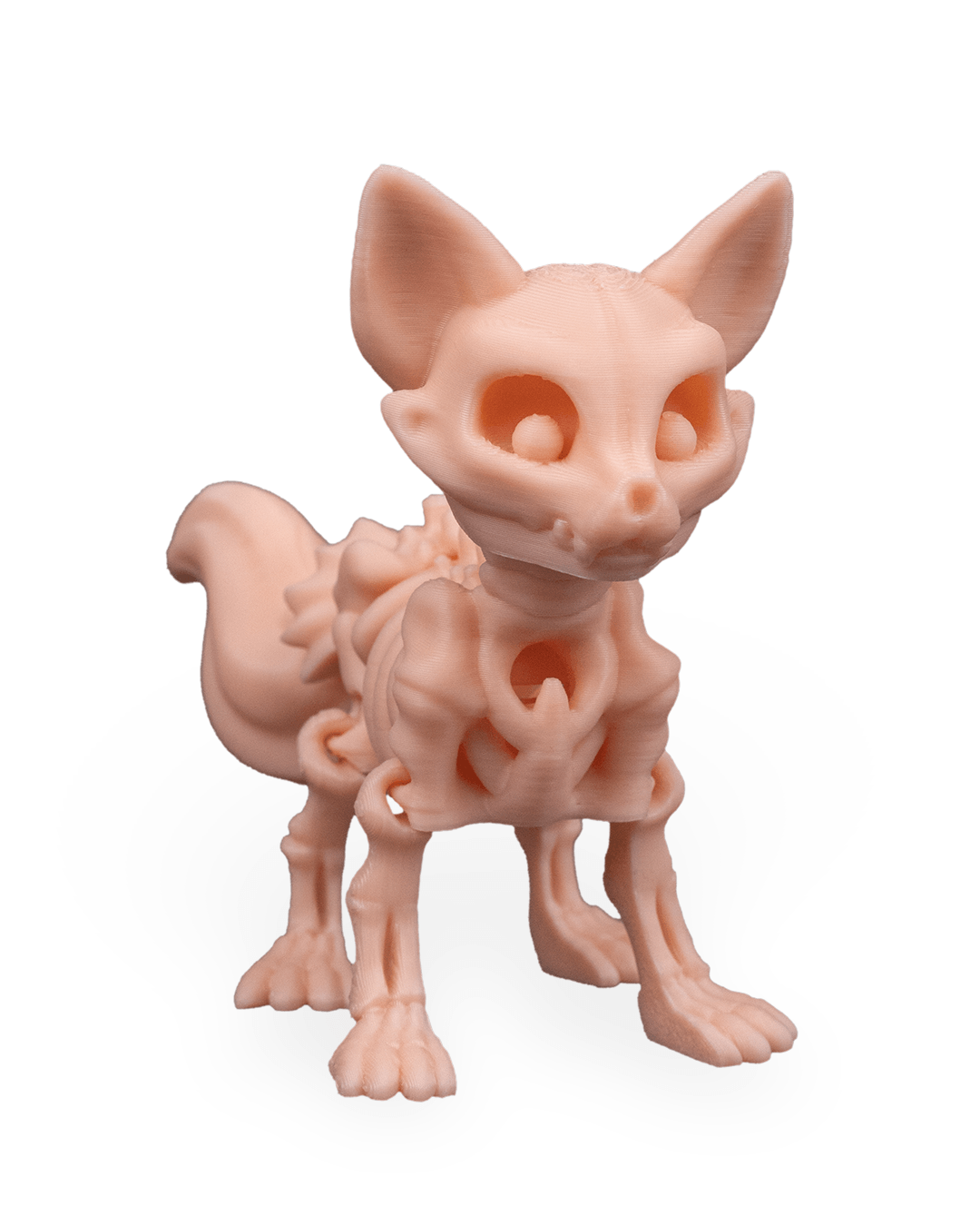 Skeleton Fox