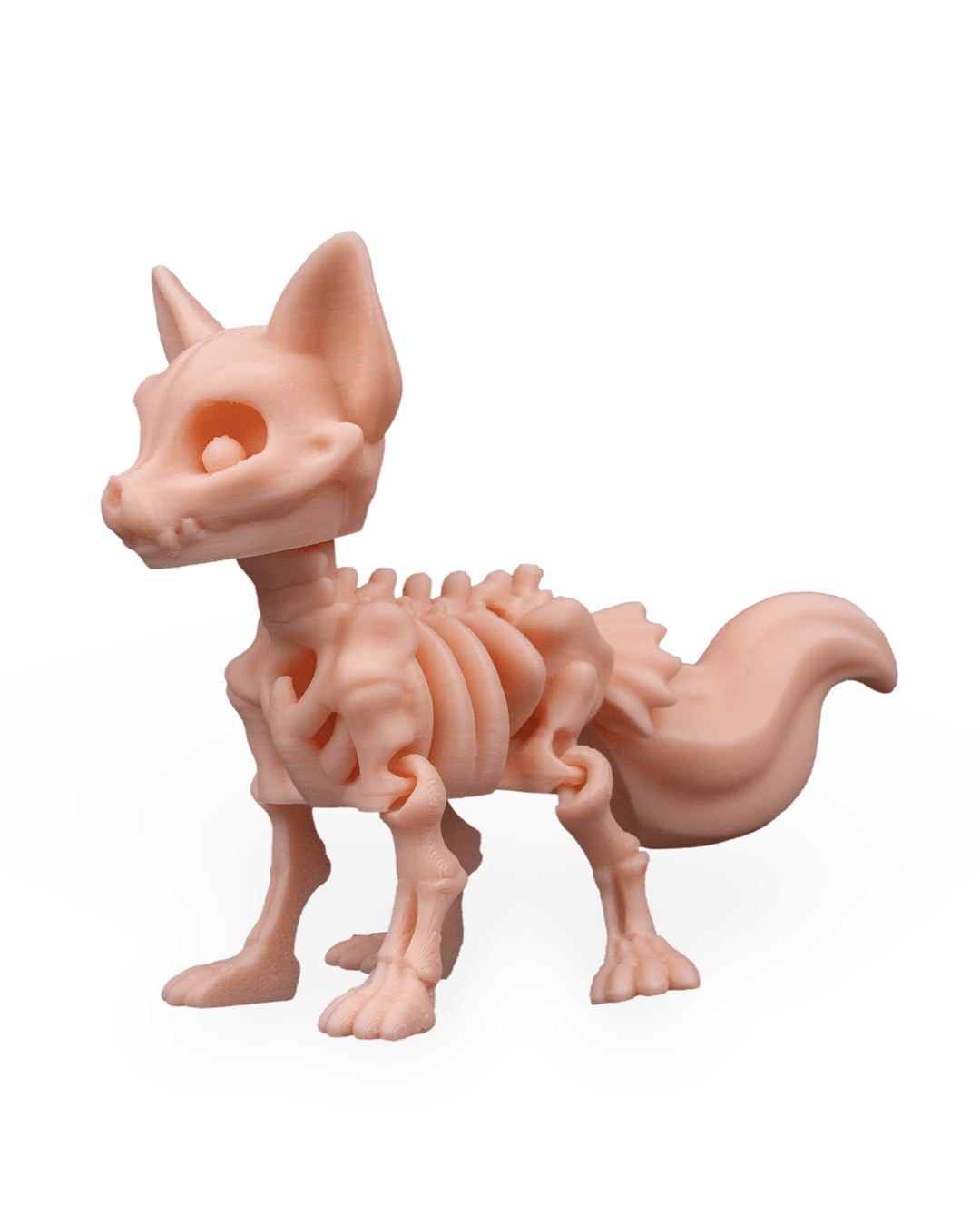 Skeleton Fox
