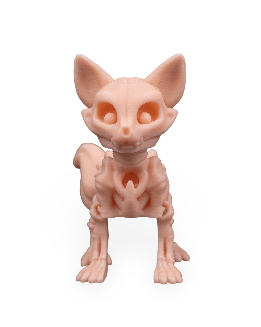 Skeleton Fox