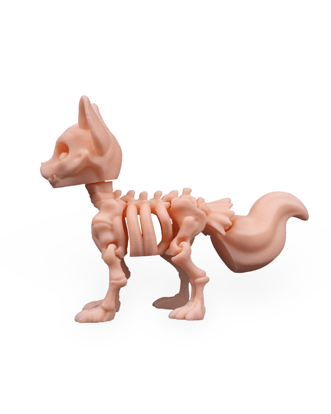 Skeleton Fox