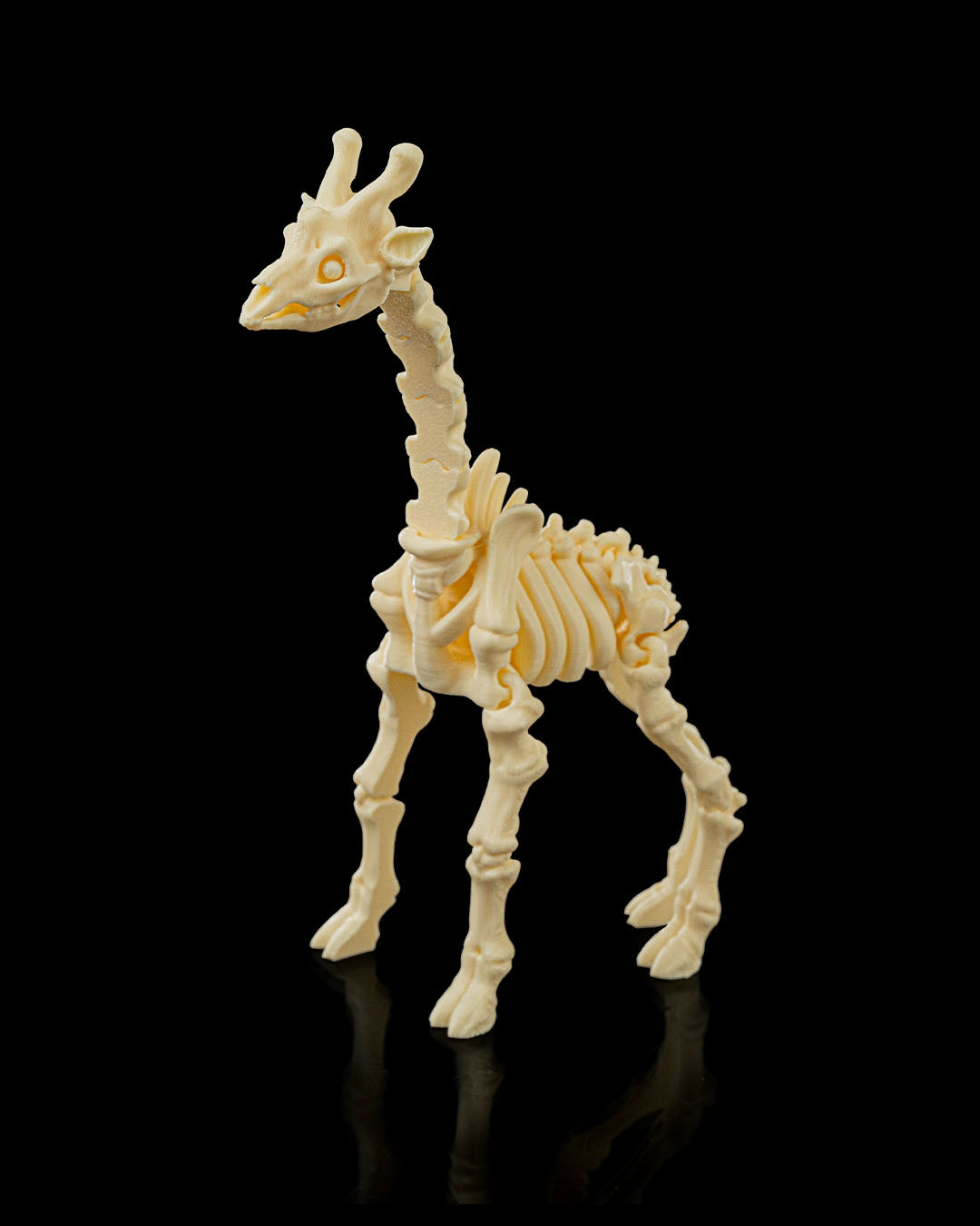 Skeleton Giraffe