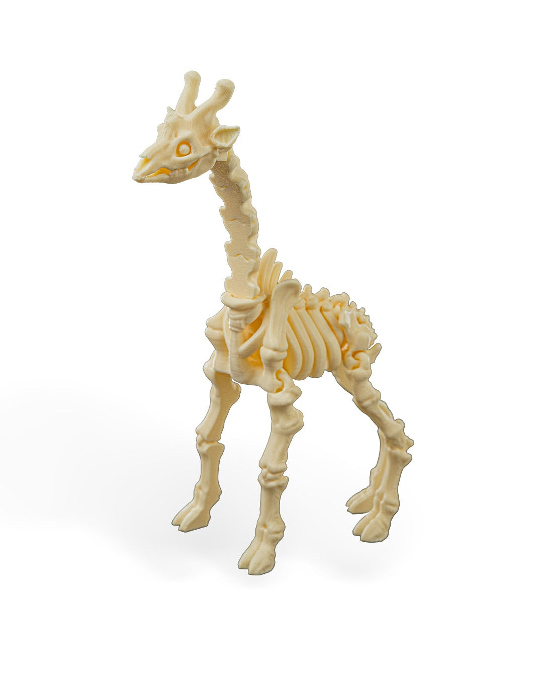Skeleton Giraffe