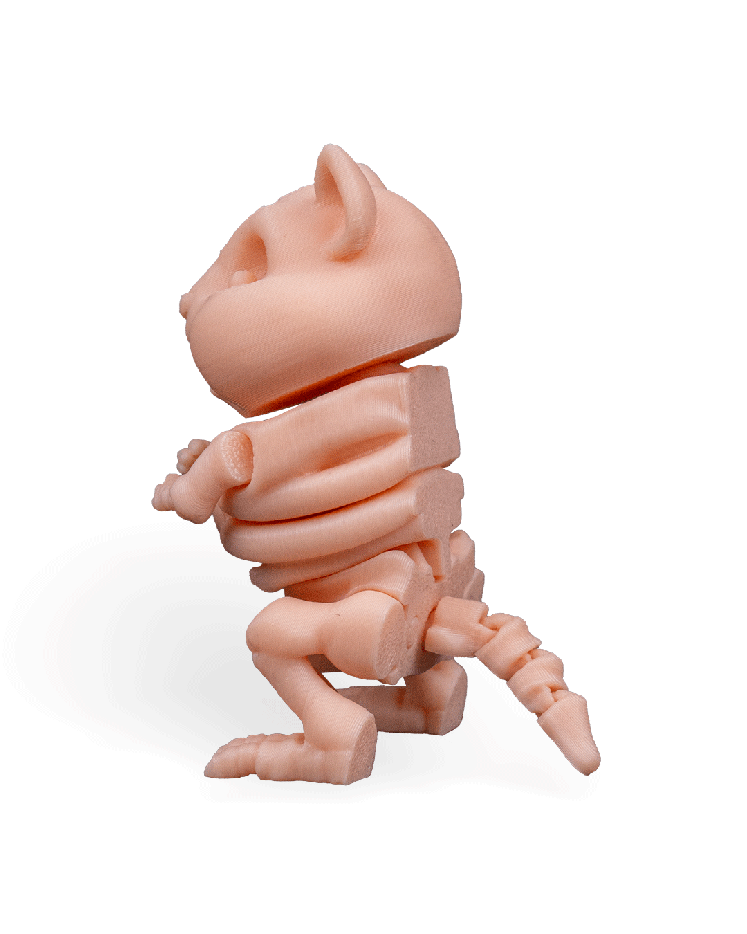 Skeleton Hamster