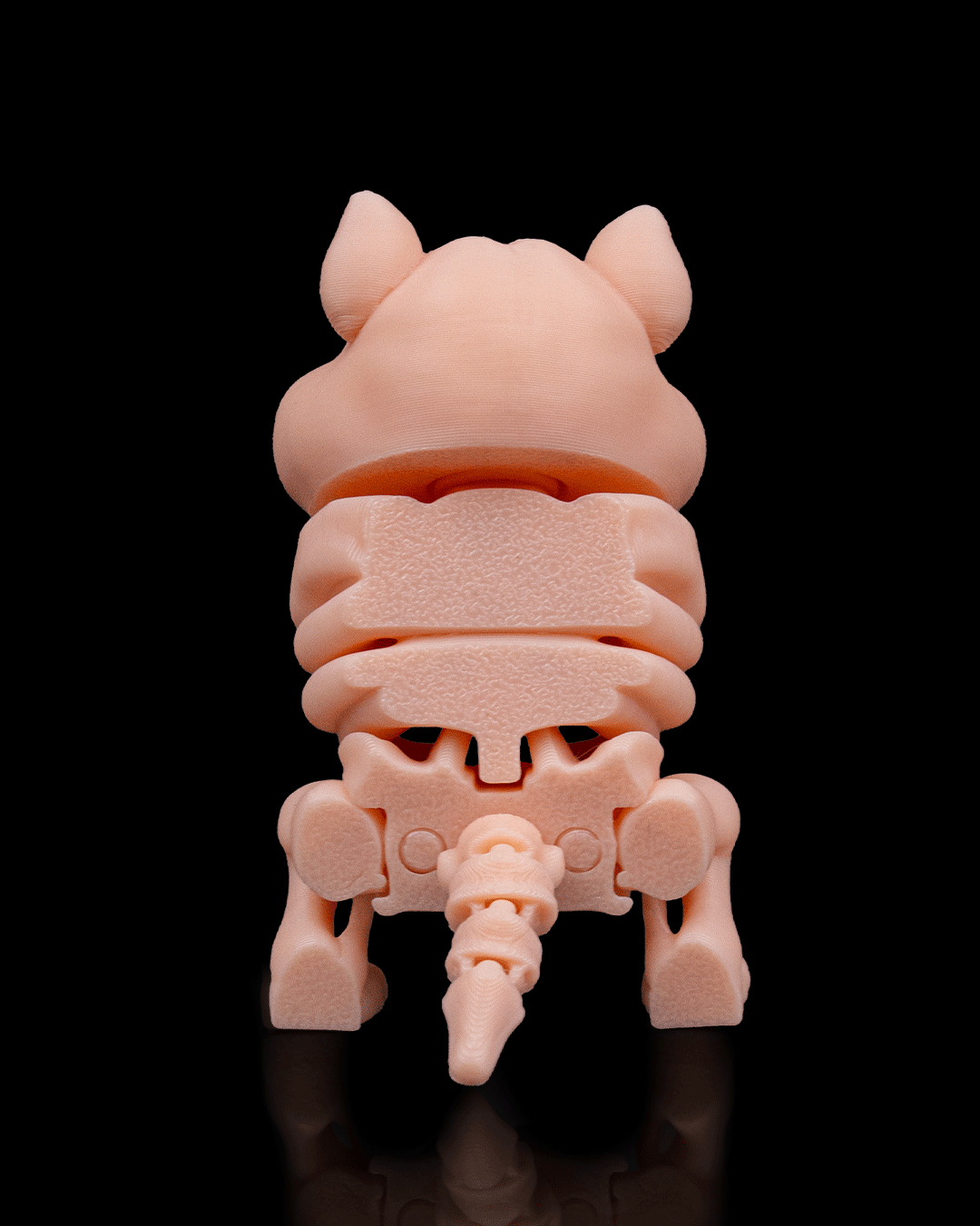 Skeleton Hamster