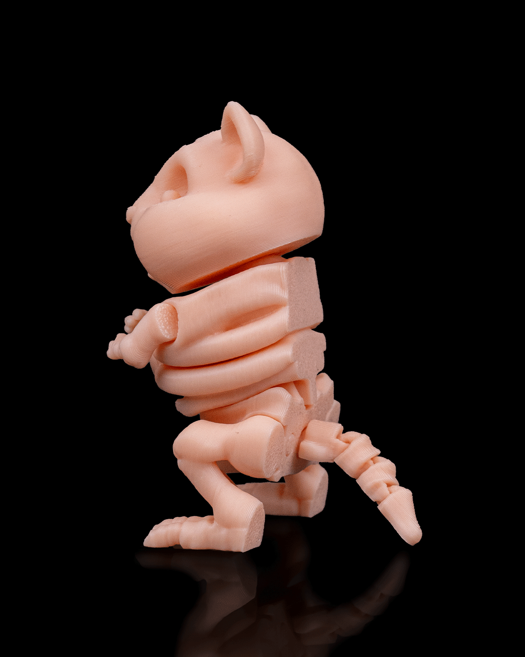 Skeleton Hamster
