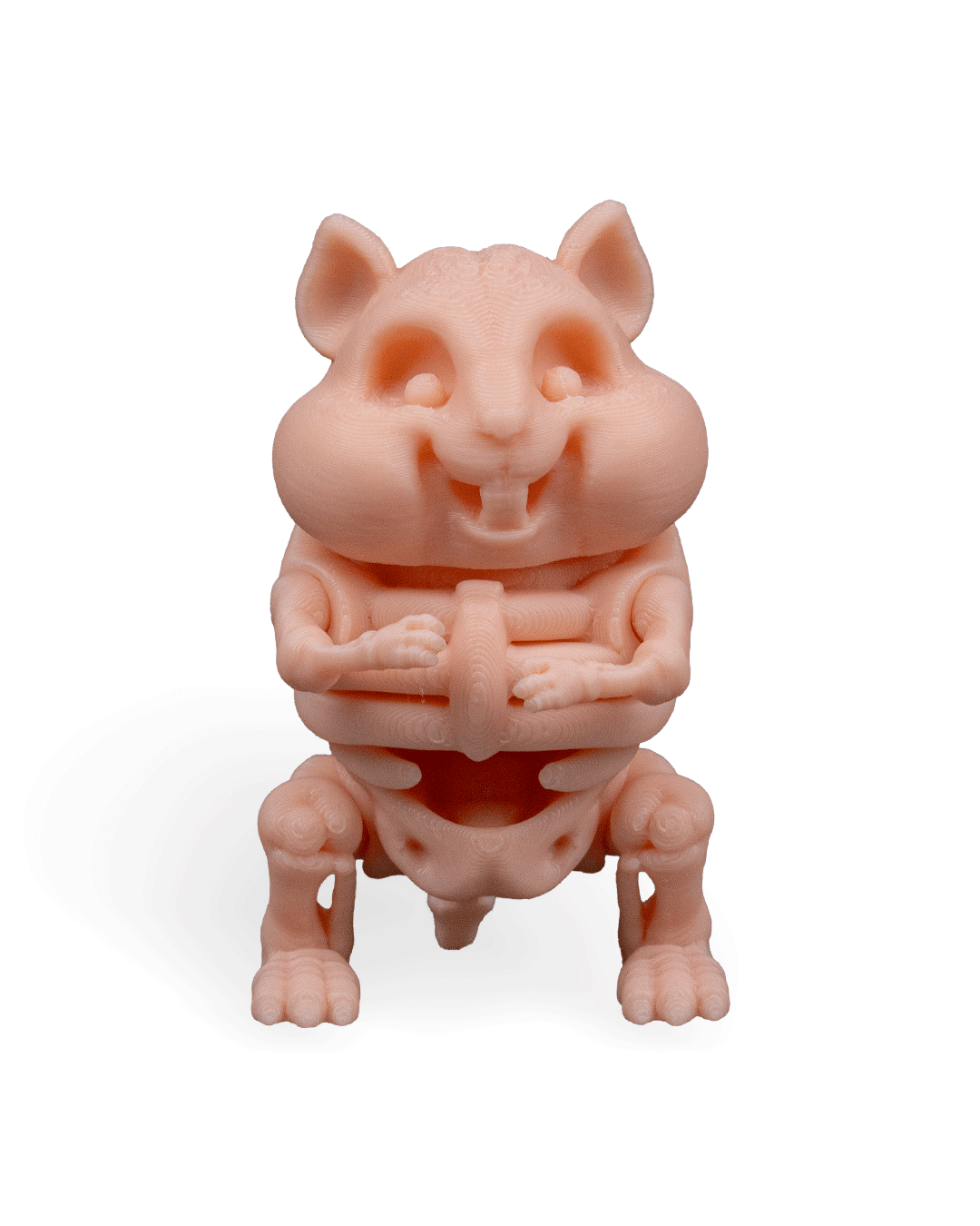 Skeleton Hamster