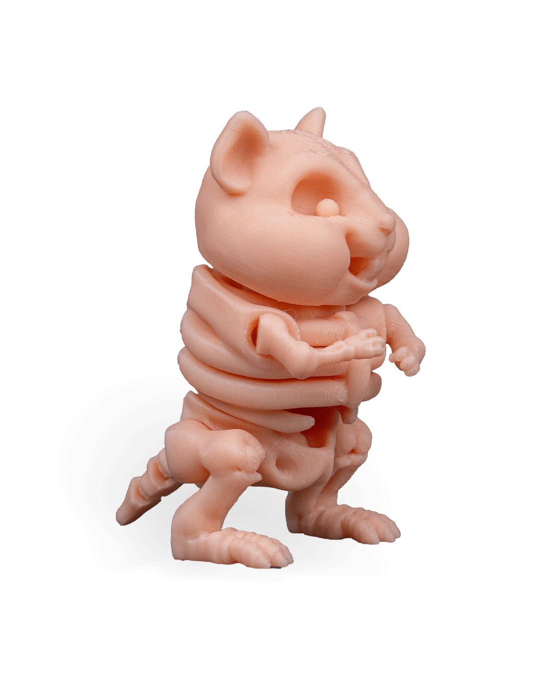 Skeleton Hamster