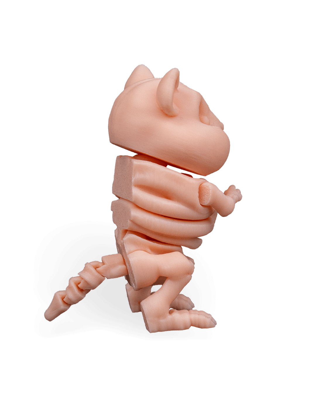 Skeleton Hamster