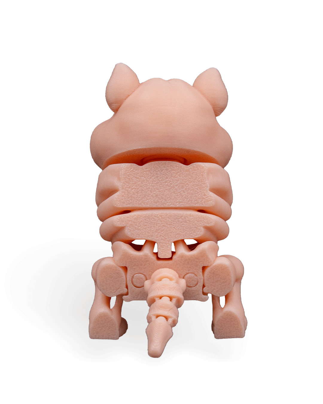 Skeleton Hamster
