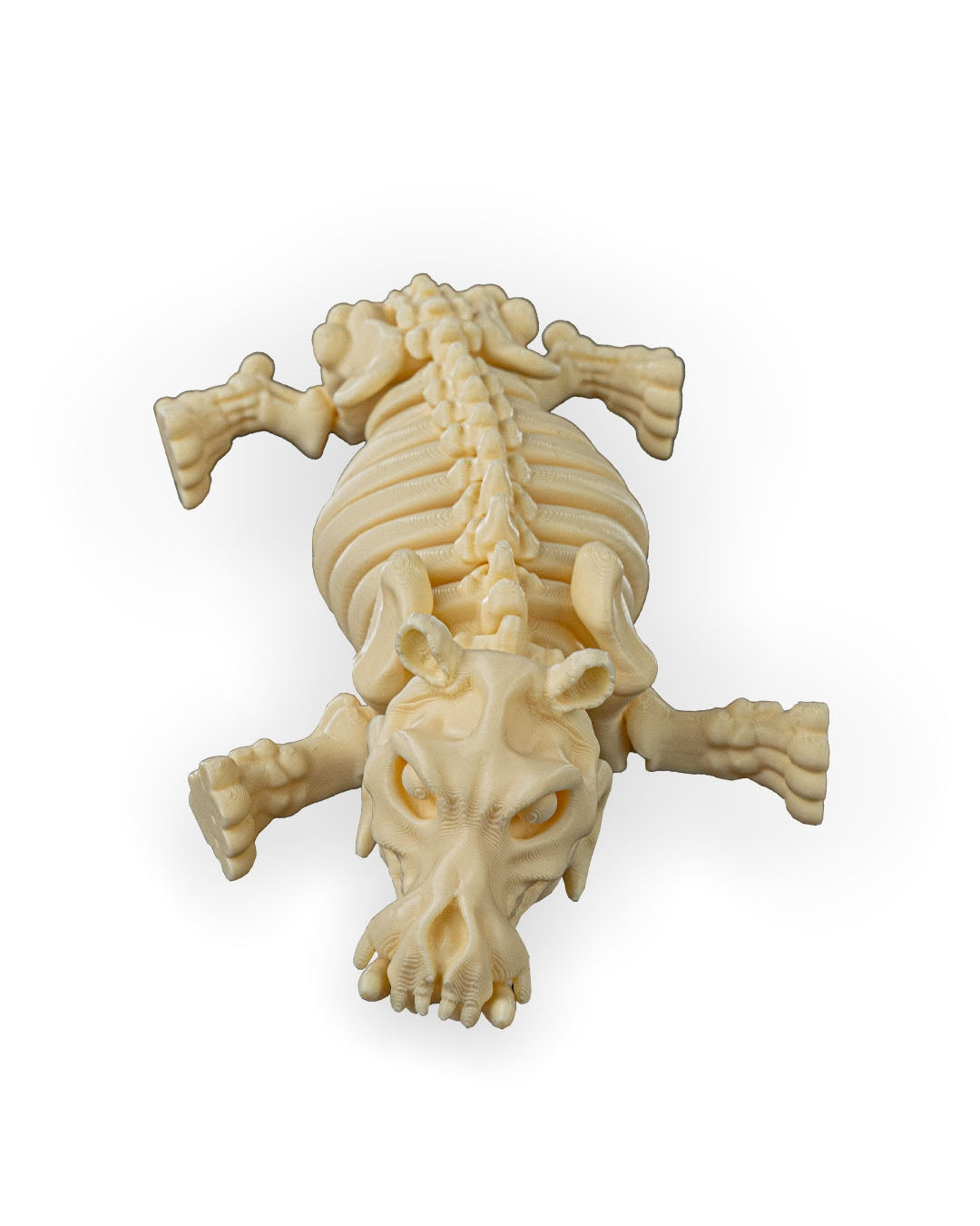 Skeleton Hippo