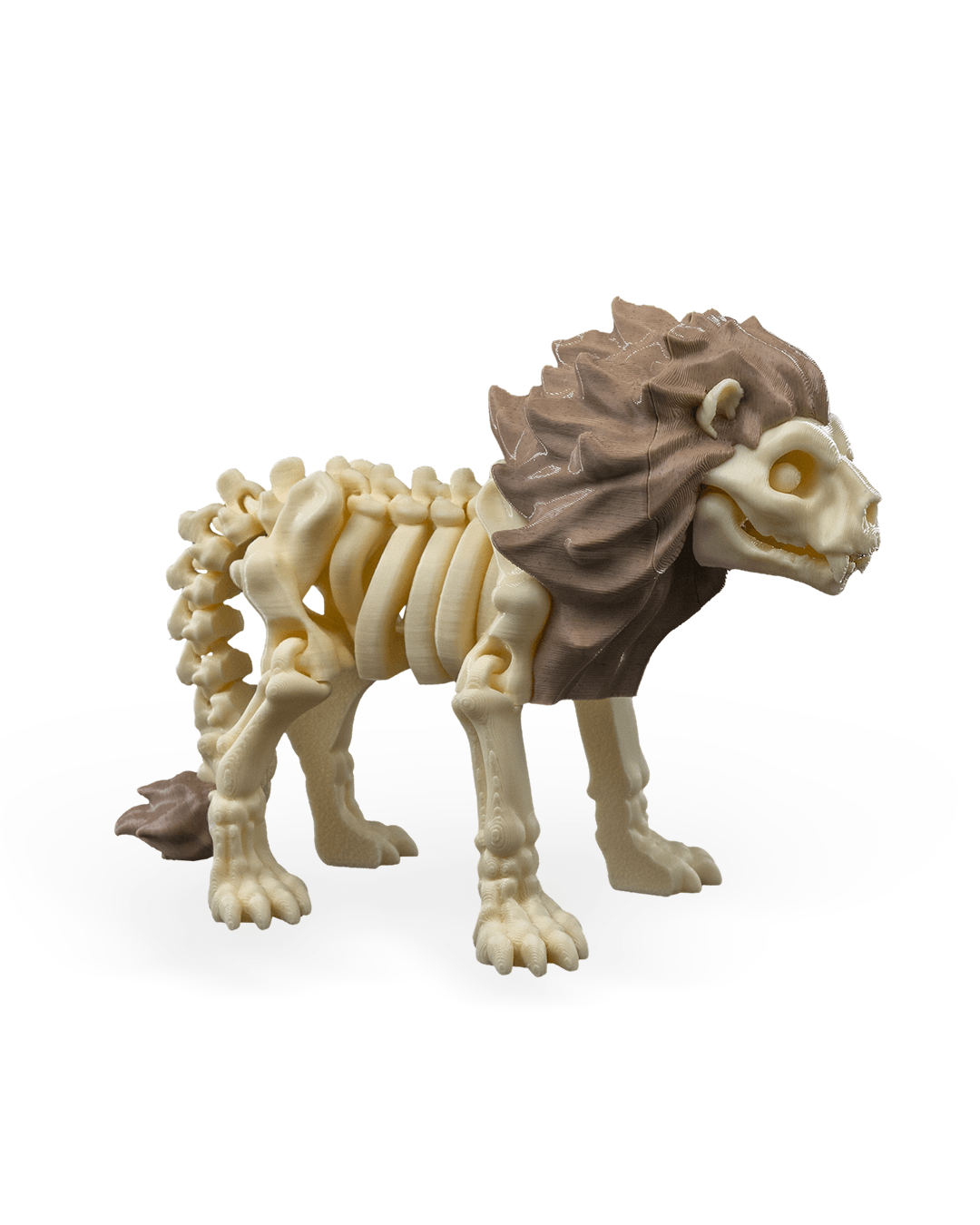 Skeleton Lion
