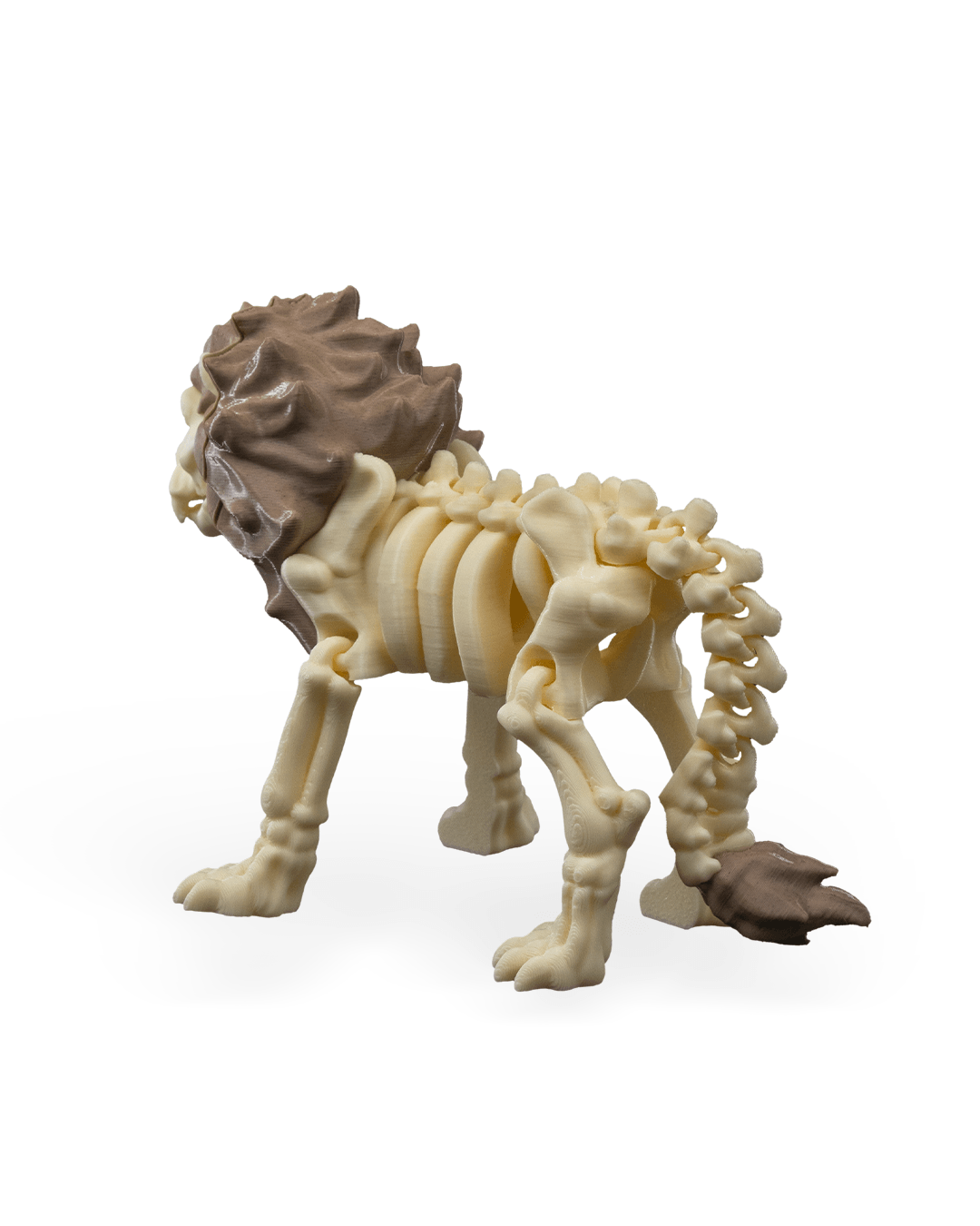 Skeleton Lion