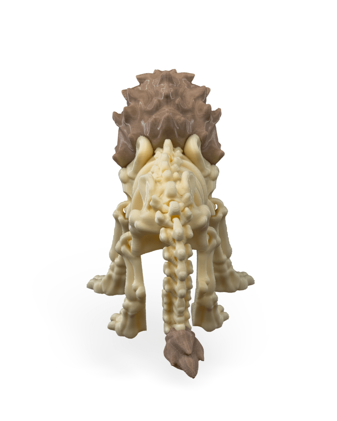 Skeleton Lion