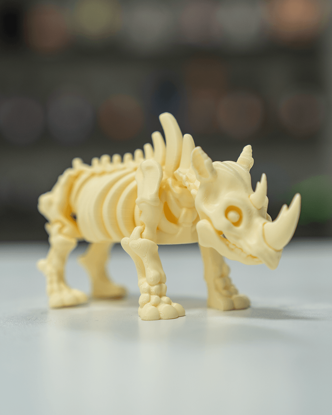 Skeleton Rhino