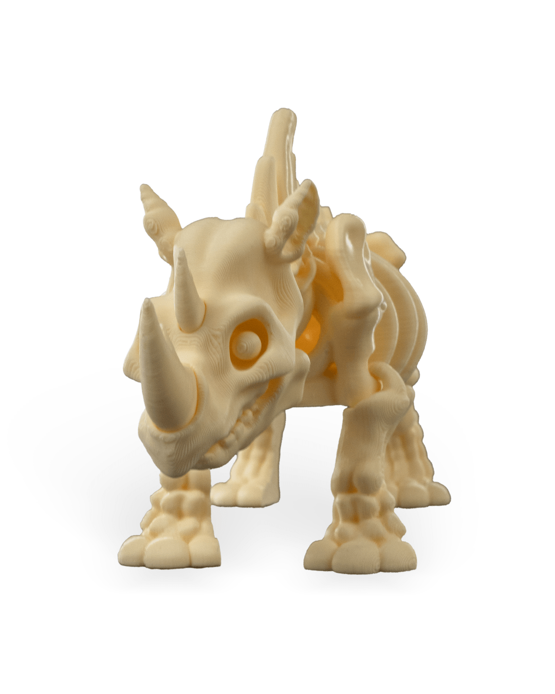 Skeleton Rhino