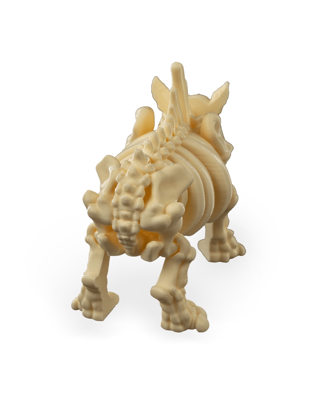 Skeleton Rhino