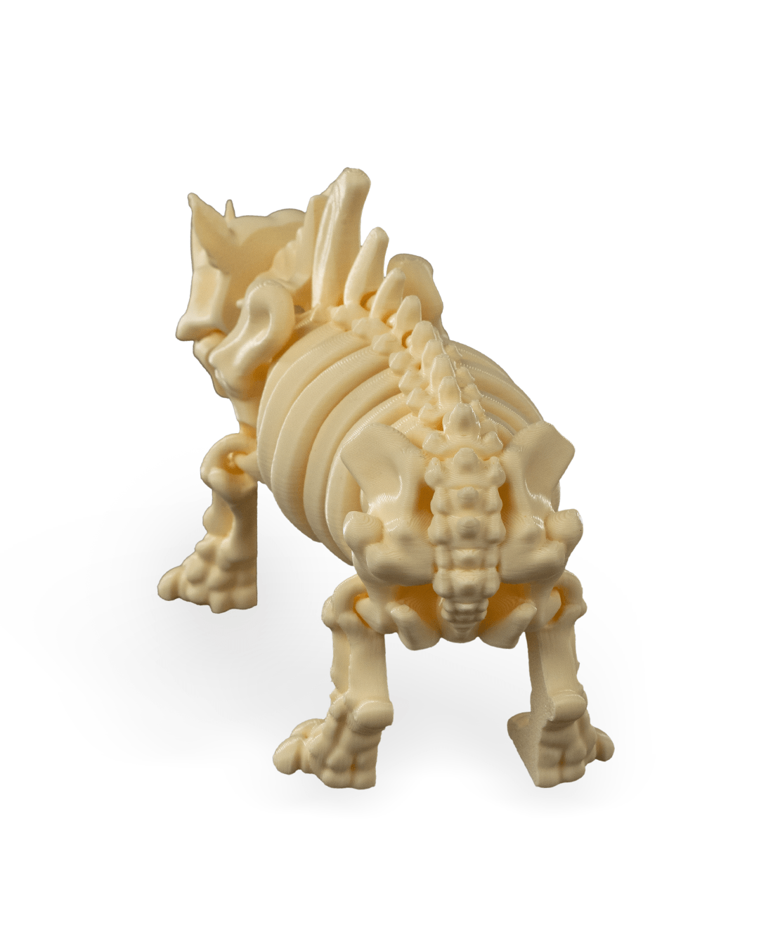 Skeleton Rhino