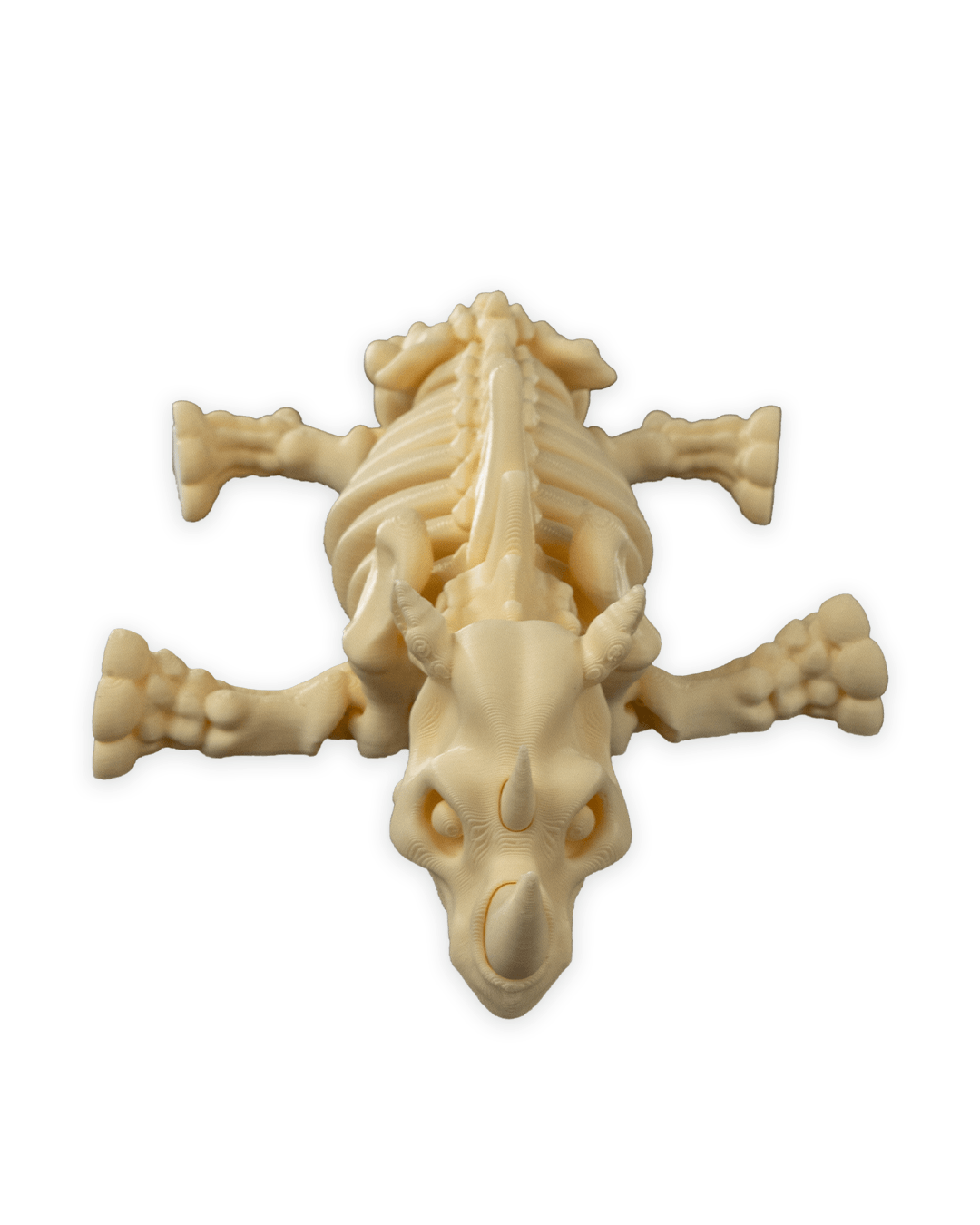 Skeleton Rhino