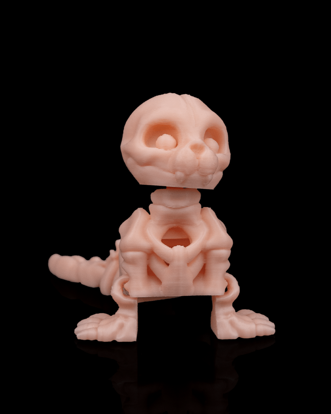 Skeleton Seal