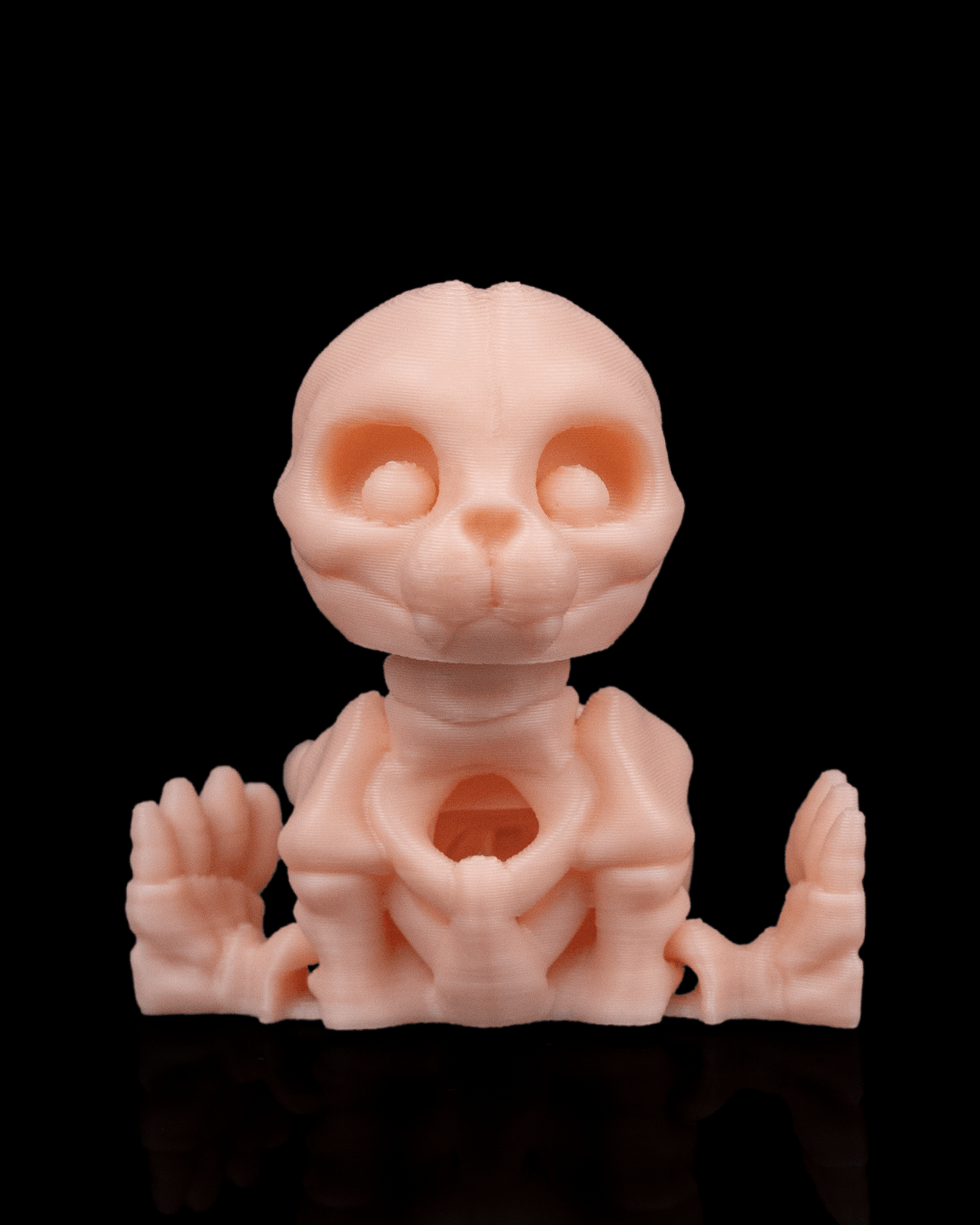 Skeleton Seal