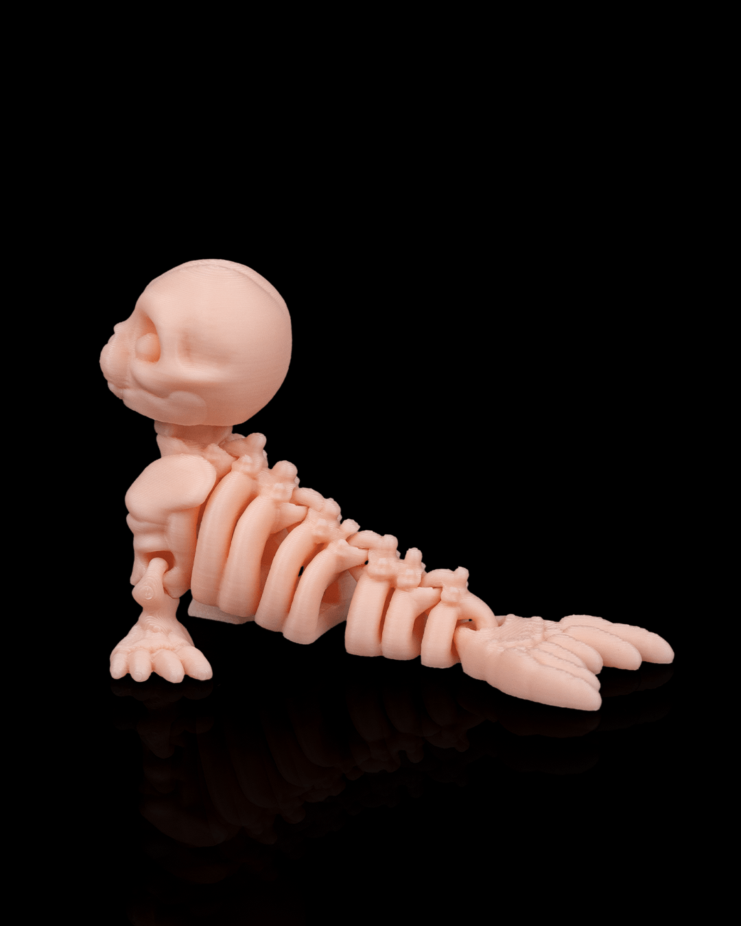 Skeleton Seal