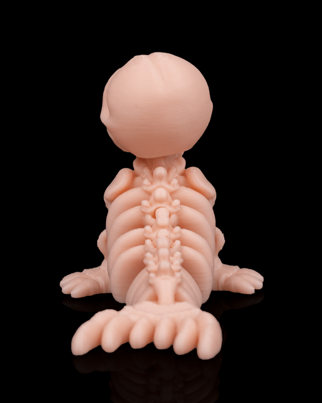 Skeleton Seal