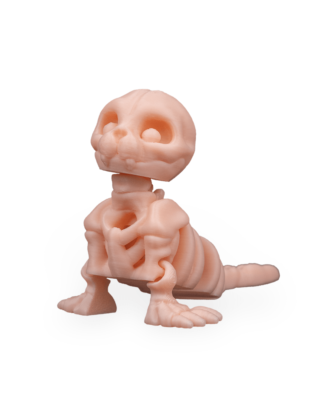 Skeleton Seal