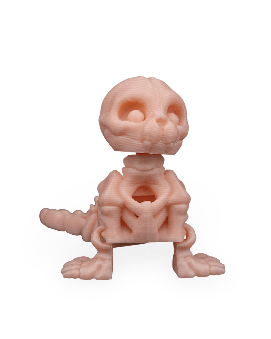 Skeleton Seal
